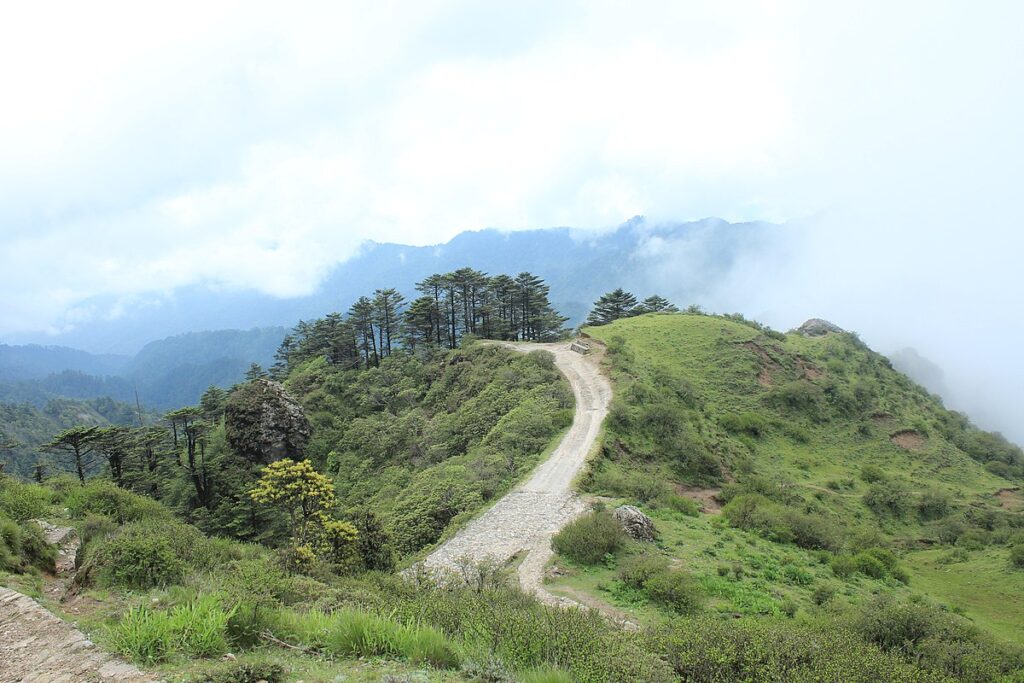 Sandakphu 