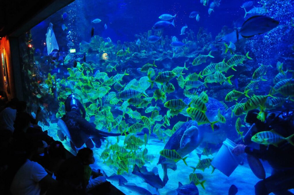 Aquaria KLCC Malaysia